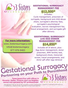 3 sisters surrogacy flyer