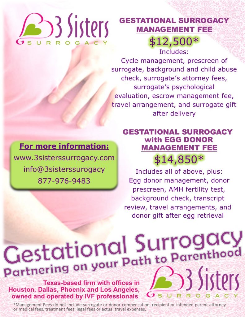 3 sisters surrogacy flyer